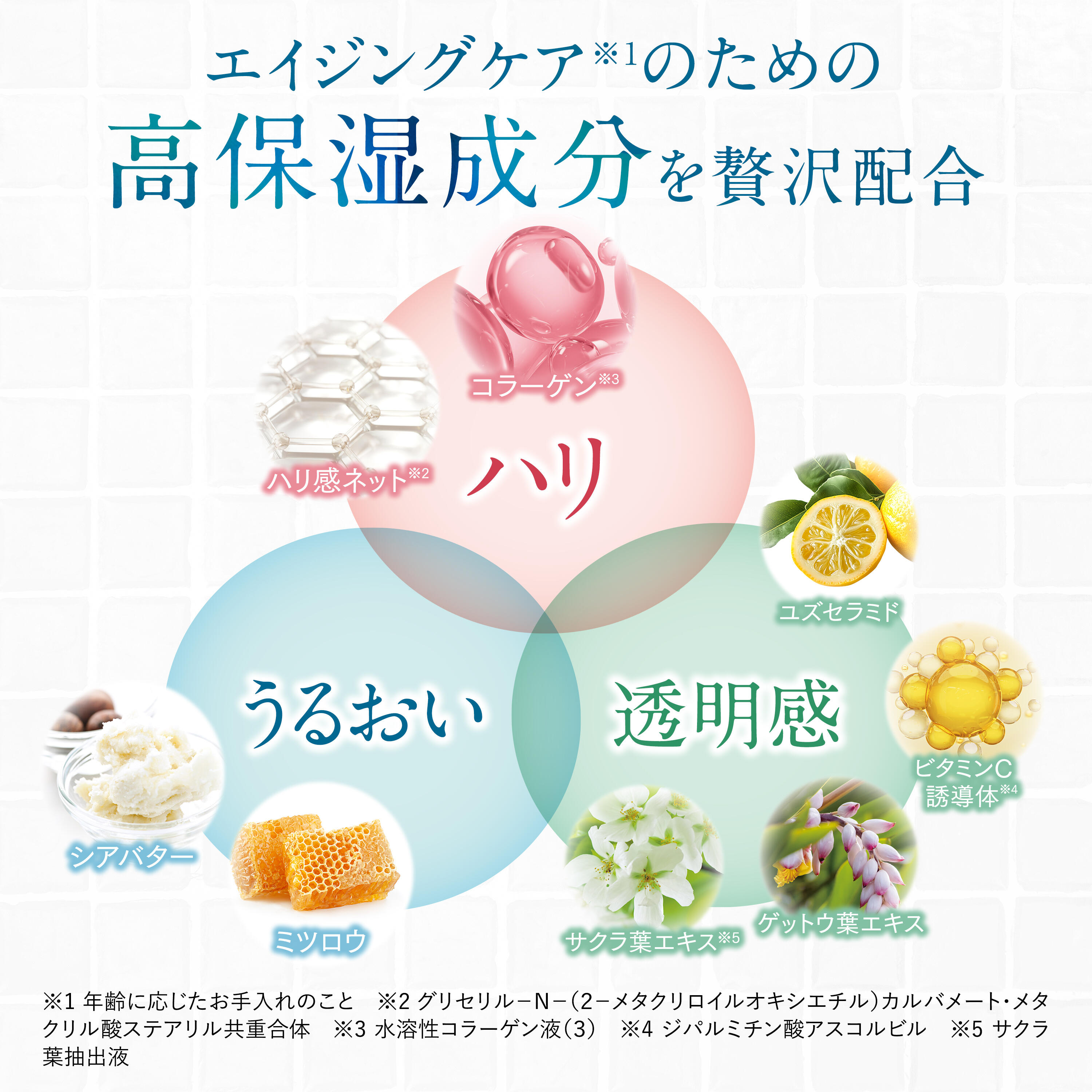 エクイタンス ホワイトクリーム│スキンケア・美容食品│サンスター